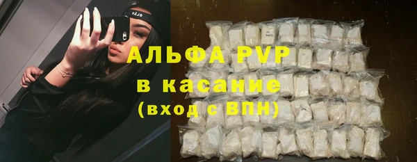 шишки Пестово