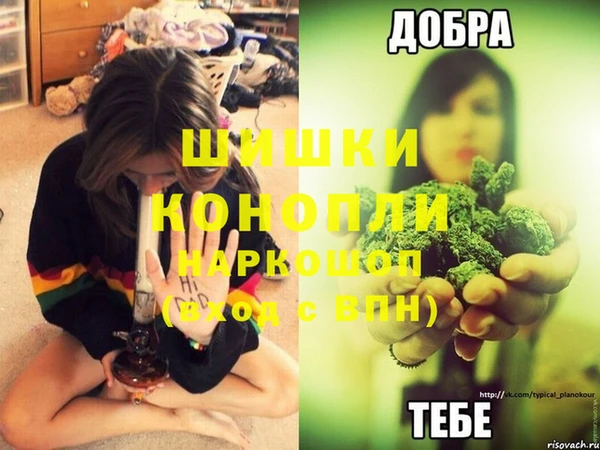 прущая мука Покачи